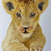 Mi Proyecto del curso: Técnicas experimentales de acuarela para principiantes  Ein Projekt aus dem Bereich Traditionelle Illustration, Bildende Künste, Aquarellmalerei und Naturalistische Illustration von alvaromonguia - 13.08.2022