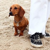 Mi Proyecto del curso: Fotografía lifestyle de perros. Un projet de Photographie lifest , et le de Mónica - 13.04.2021