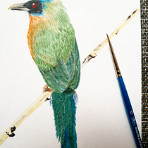 Barranquero de mirada profunda. Een project van Traditionele illustratie van Marcela Torres - 13.04.2021