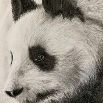 My project in Artistic Charcoal Portraiture: Creating Atmosphere course. Design de personagens e Ilustração tradicional projeto de Francesca M - 13.04.2021