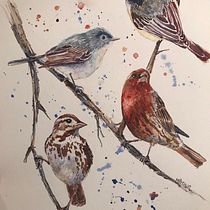 My Backyard Birds . Watercolor Painting project by mgnbrown - 04.14.2021