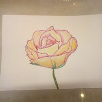 Meu projeto do curso: Rosas. Un progetto di Disegno di michelleafacchin - 14.04.2021