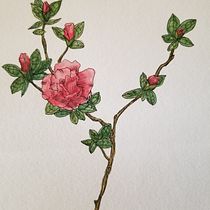 My project in Botanical Watercolor Sketchbook course. Un progetto di Pittura ad acquerello di Alyce - 16.04.2021