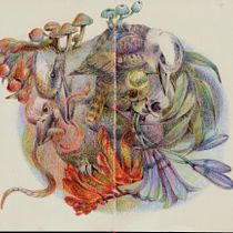 My project in Surrealist Illustration Inspired by Nature course. Drawing project by AKO LAMBLE - 04.15.2021