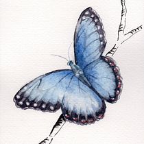 My project in Artistic Watercolor Techniques for Illustrating Birds course: not any birds but a butterfly!. Traditional illustration, Watercolor Painting, Realistic Drawing, and Naturalistic Illustration project by antonina_randazzo - 04.16.2021