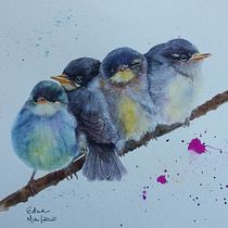 Meu projeto do curso: Técnicas expressivas de aquarela para ilustração de pássaros. Traditional illustration, Watercolor Painting, Realistic Drawing, Naturalistic Illustration, and Painting project by Edna Ogaki - 04.16.2021