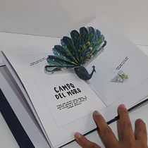 Mi Proyecto del curso: Creación de libros pop-up. Projekt z dziedziny  Introligatorstwo i Papercraft użytkownika Isabel Cristina Rengifo T. - 16.04.2021