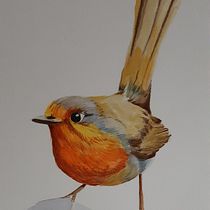 Mi Proyecto del curso: Ilustración naturalista de aves con acuarela. Een project van Traditionele illustratie van Isabel Cristina Rengifo T. - 17.04.2021