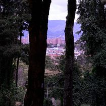 Parque Lindaraja - Bogota D.C. - Reportaje con el verde!. Un projet de Communication, Créativité , et Photographie de Jimena Cardenas - 25.04.2021