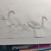 My project in Illustrating Nature: A Creative Exploration course. Sketching project by steph heyvaert - 04.17.2021