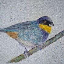 Mi Proyecto del curso: Acuarela artística para ilustración de aves. Watercolor Painting project by gabynavarro_cba - 04.17.2021