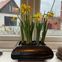 Planter finally finished and in use. Un projet de Céramique, Artisanat , et Beaux Arts de Annie Smith - 14.04.2021