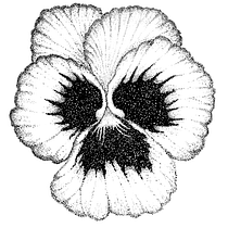 Mi Proyecto del curso: Pensy y Daisy freehand / puntillismo. Traditional illustration, Drawing, Digital Drawing, Tattoo Design, and Botanical Illustration project by Belen Fusco - 04.20.2021