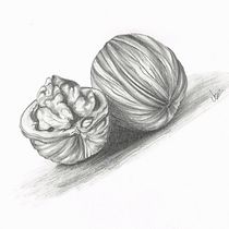 My project in Drawing for Beginners Level -1 course. Pencil Drawing, Drawing, Creating with Kids, and Sketchbook project by charu Ash - 04.21.2021
