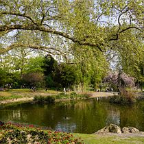 My project in Beginner’s Photography: Basic Camera Use and Theory course : Stroll in the Square des Batignolles in Paris. Digital Photograph project by julienbellot1 - 04.21.2021