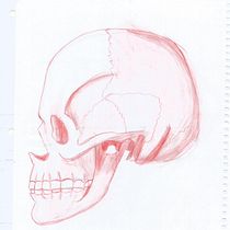 Mi Proyecto del curso: Dibujo anatómico para principiantes. Pencil Drawing project by marymad - 05.07.2021