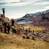 Mi Proyecto del curso: Teoría del color en fotografía Ein Projekt aus dem Bereich Fotografie von jairo wilches - 22.04.2021