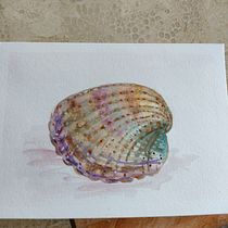 Something from the beach ⛱️. Watercolor Painting project by ashbourn - 04.23.2021