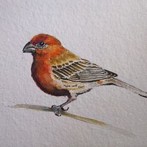My project in Artistic Watercolor Techniques for Illustrating Birds course. Watercolor Painting project by nilanjanamails - 04.22.2021