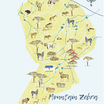 Mountain Zebra National Park creative map. Traditional illustration project by Jennie Harborth - 04.18.2021