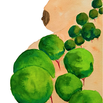 My illustrations for stories from the book The red garden . Traditional illustration, Children's Illustration, Stor, telling, Watercolor Painting, Painting, Sketching, Sketchbook, Drawing, Naturalistic Illustration, and Botanical Illustration project by Beant Kaur Dhillon - 04.25.2021