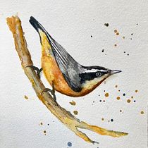 My project in Artistic Watercolor Techniques for Illustrating Birds course. Traditional illustration project by Melissa Malm - 04.26.2021