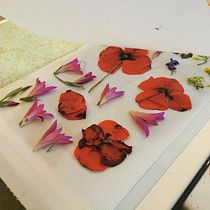 NATURAL MYSTIC . Un projet de Artisanat , et Éducation de Giulia Ottaviani - 26.03.2020