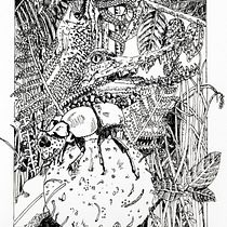 My project in Surrealistic Fineliner Illustration course Ein Projekt aus dem Bereich Traditionelle Illustration und Zeichnung von alberta_birdie - 26.04.2021