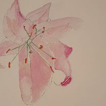 My project in Botanical Sketchbooking: A Meditative Approach course. Esboçado, Desenho, Pintura em aquarela, Ilustração botânica, Sketchbook e Ilustração tradicional projeto de Cliona Ryan - 27.04.2021