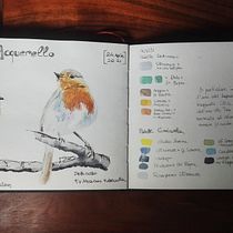 Il mio progetto del corso: Acquerello artistico per illustrazione di uccelli. Watercolor Painting project by Annalisa Dione - 04.28.2021