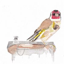 Il mio progetto del corso: Acquerello artistico per illustrazione di uccelli. Traditional illustration project by Tosca D'Aprile - 04.28.2021
