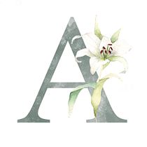 Mi Proyecto del curso: Dibujo y composición naturalista en acuarela. Watercolor Painting, Design, Traditional illustration, Graphic Design, Painting, and Drawing project by Ana Cecilia Mannaert - 05.10.2021