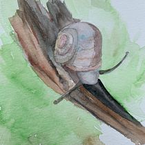 My project in Illustrating Nature: A Creative Exploration course. Watercolor Painting project by Joe Azzato - 04.30.2021