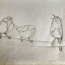 My project in Artistic Watercolor Techniques for Illustrating Birds course. Traditional illustration, Watercolor Painting, Realistic Drawing, and Naturalistic Illustration project by Sheila Smart - 05.02.2021