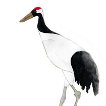 My final project in Watercolor Illustration with Japanese Influence course. Un projet de Aquarelle de cathalijn - 02.05.2021