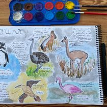 Viaje a Bahía Bustamante, Chubut. Argentina. Watercolor Painting project by Josefina Muratorio - 05.03.2021