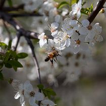Il mio progetto del corso: Fotografia di paesaggi e natura. Outdoor Photograph, Photograph, Instagram Photograph, Documentar, Photograph, and Photographic Composition project by Giada Missora - 05.02.2021