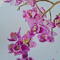 Orquídea. Un progetto di Pittura ad acquerello di Angélica Kolody Mammana - 01.05.2021