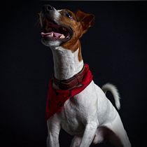 Jack y Lukas. Un projet de Photographie de Juan Carlos López - 26.04.2021
