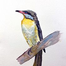 My project in Artistic Watercolor Techniques for Illustrating Birds course. Watercolor Painting project by alanajagt - 05.04.2021