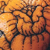 MWB Project in Tattoo for Beginners course. Tattoo Design project by Mikayla Woodford-Bourne - 05.04.2021