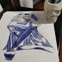 Mi Proyecto del curso: Dibujo anatómico para principiantes. Traditional illustration project by JESUS HERNANDEZ TREJO - 05.04.2021