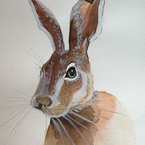 Os meus animais. . Drawing project by Maria - 05.05.2021