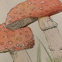 Mi Proyecto del curso: Cuaderno botánico en acuarela. Un progetto di Illustrazione botanica e Pittura ad acquerello di Jimena GarMed - 05.05.2021