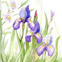 My project in Botanical Illustration with Watercolors course. Pintura em aquarela projeto de Simona Cassisa - 05.05.2021