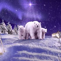 Tierra de osos. Photomontage project by Francisco Manuel Quiroz Flores - 05.06.2021