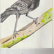 Mi Proyecto del curso: Relatos ilustrados: de la idea al papel. Traditional illustration project by Giovanni Molina - 05.06.2021