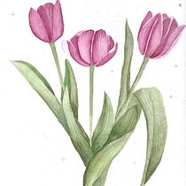 My project in Botanical Watercolor: Illustrate the Anatomy of Flowers course. Un progetto di Illustrazione tradizionale, Belle arti, Pittura, Disegno, Pittura ad acquerello e Illustrazione botanica di Ade - 31.01.2021