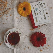 Flatlay naturalista. Un projet de Photographie publicitaire, Composition photographique, Photographie, Photographie smartphone, Photographie de studio, Photographie numérique , et Photographie pour Instagram de Luísa Rocha - 06.05.2021