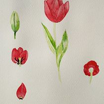 Mon projet du cours : Illustration botanique à l’aquarelle. Ilustração tradicional projeto de christiane barré - 07.05.2021